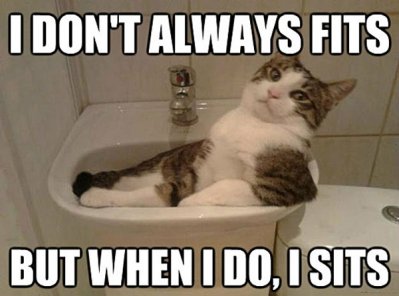 funny-most-interesting-cat-world-meme-sink.jpg