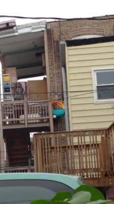 IMG_20161016_103639914.jpg