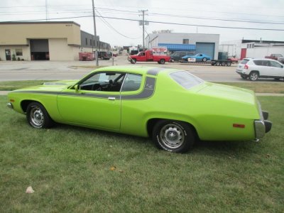 roadrunner stripes 111.jpg