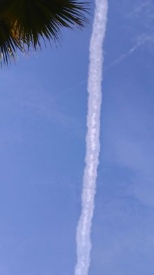 IMG_20161022_152211.jpg