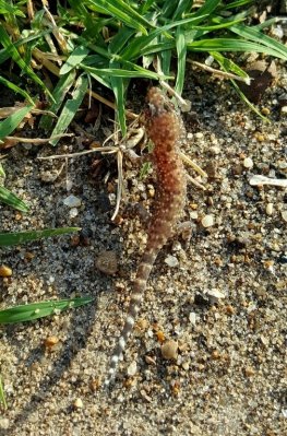 20161025_174319.jpg