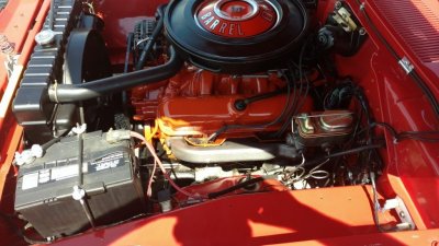 IMG_20160821_132426597.jpg IMG_20160821_132426597.jpg