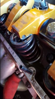 20161031_104301.jpg 20161031_104301.jpg