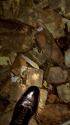 IMG_20161106_030103.jpg
