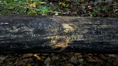 IMG_20161107_122424.jpg