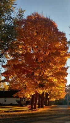 IMG_20161105_161442.jpg