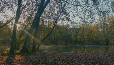 IMG_20161107_125039.jpg