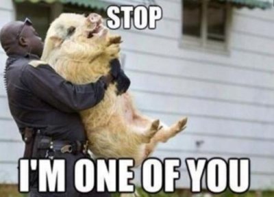 funny_captions_04.jpg