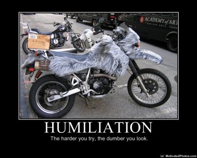633520256438154575HumiliationTheharderyoutrythedumberyoulook.jpg