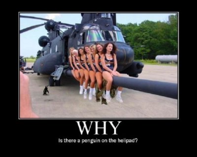 why_is_there.jpg