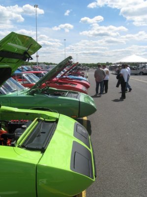 PINKS MAPLE GROVE 313.jpg