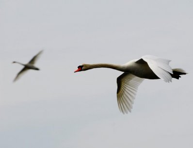 DSC_01170001.JPG