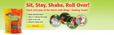 dingoHomeSlider_trainingtreatsv2.jpg