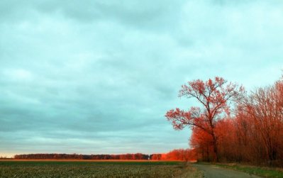IMG_20161120_202909.jpg