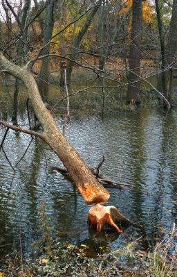 IMG_20161120_215757.jpg