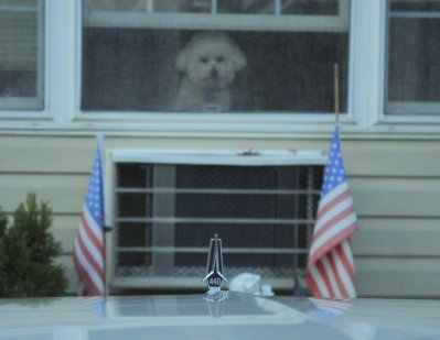 _DSC8696.JPG _DSC8696.JPG