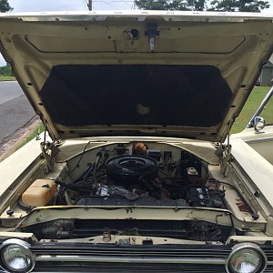 My 67