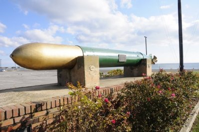 _DSC8738.JPG _DSC8738.JPG