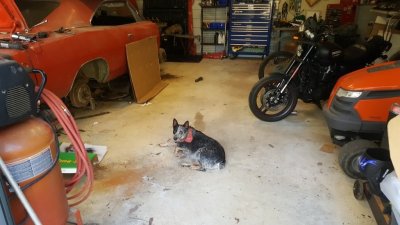 20161117_122557.jpg