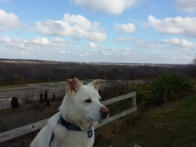 20161126_110609.jpg