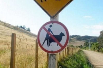 WTF-photo-book-51-Crazy-Pics-Caught-On-Camera-7-550x365.jpg