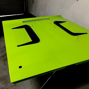RR GTX Roadrunner hood 72.jpg