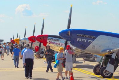 GATHERING OF MUSTANGS IN A ROW nose8.jpg