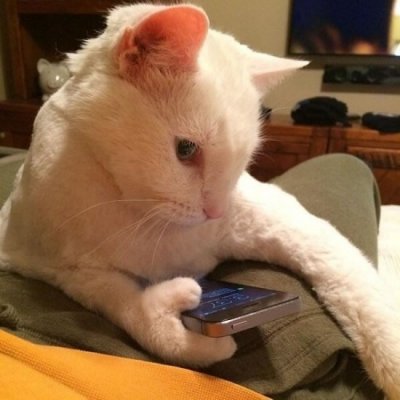 WTF-51-Crazy-Pics-Caught-On-Camera-16-550x550.jpg