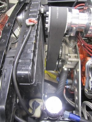 8.18.13 078.jpg 8.18.13 078.jpg