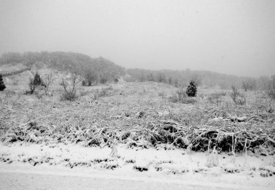 IMG_20161205_042250.jpg