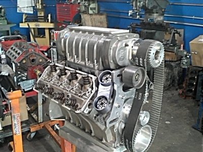 IMG785.jpg IMG785.jpg