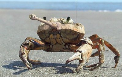Tank-Crab.jpg