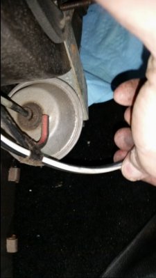 image.jpeg image.jpeg