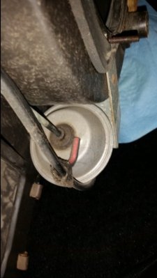 image.jpeg image.jpeg