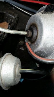 image.jpeg image.jpeg