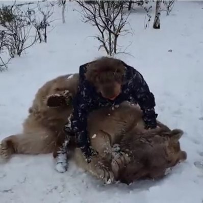 bear1.jpg