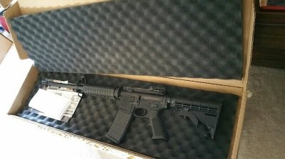ar15.jpg
