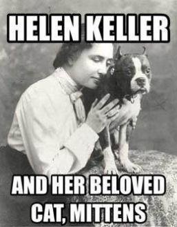 Cat - Helen Kellers.jpg