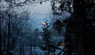 moon.jpg