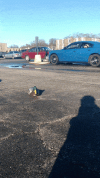 tmp_21761-200w(8)1467629479.gif