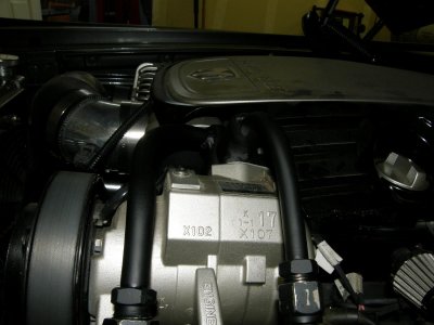 07252011 004.jpg