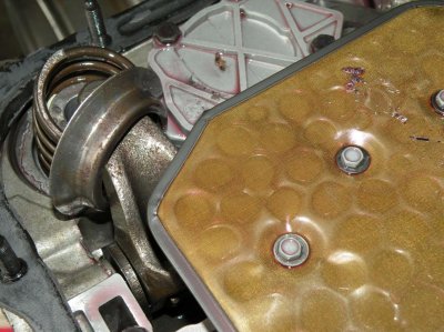 69 HEMI RR.70 HEMI CUDA.727 CARNAGE 058.jpg