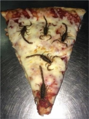 dinner.jpg