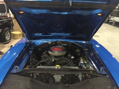 IMG_4746.JPG IMG_4746.JPG