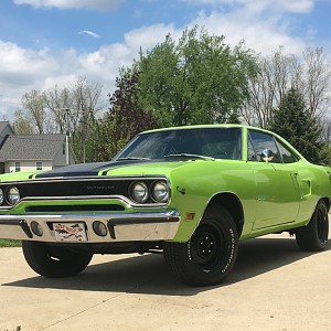roadrunner7.JPG