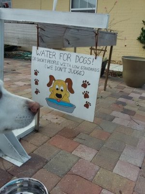 16-12-28 St. Andrews, Fl.jpg