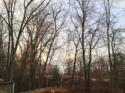 rainbow 2.jpg