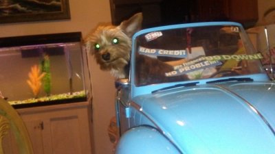 20160730_204215.jpg