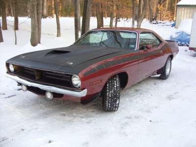 SDC10157.JPG SDC10157.JPG