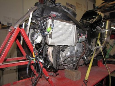 IMG_9556.JPG IMG_9556.JPG